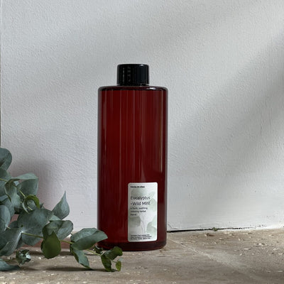 Herbs N Vibes מפיץ ריח Eucalyptus +Wild Mint